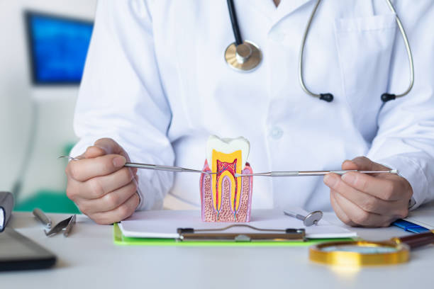 Best Emergency Root Canal Therapy in Odessa, TX